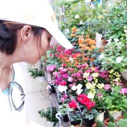 solotunotes's profile picture. 