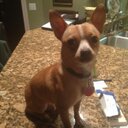 Rex Kirby - @RexKirby2 - Twitter