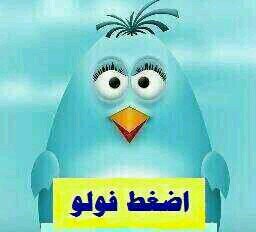 لزياده متابعينك
١- ضيفني أول شي 
٢- رتويت للتغريدة 
3-ضيف من قام بالرتويت