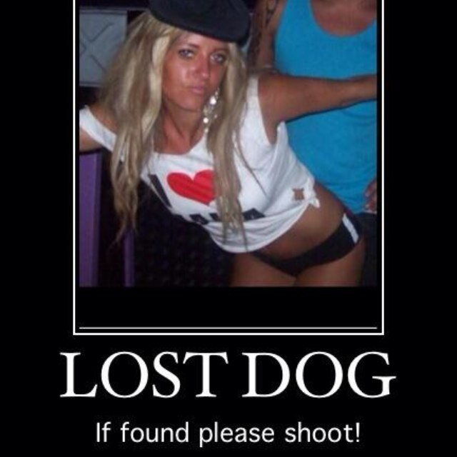 Carolineskank's profile picture. I am a home wrecking whore, no loyaltys, no morals, just a pure skank !