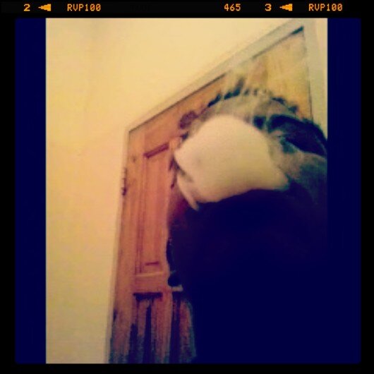 Bass_beats3566's profile picture. I'm just a DJ, Weedsmoker follow αη amma follow back also add м̣̣̣̥ε̲̣̣̣̥ on bbm.  29B19F54 and79BCC61E