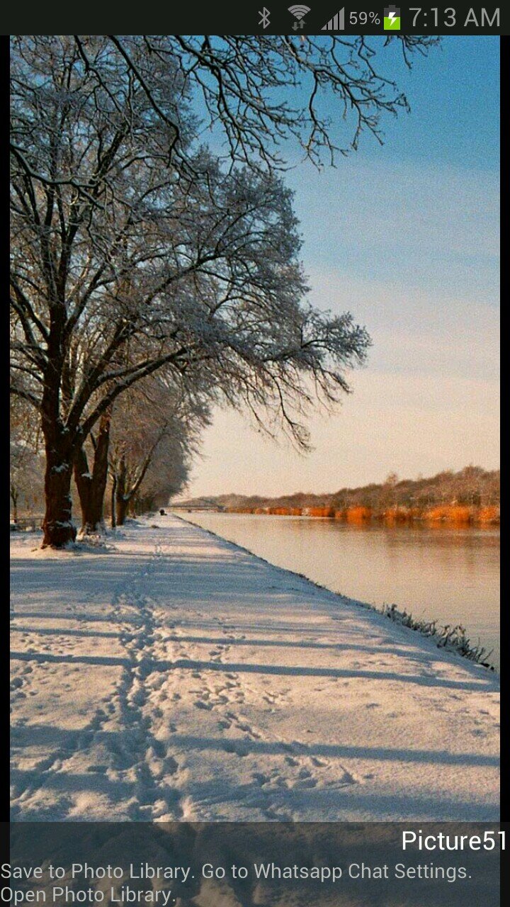 nanaaram's profile picture. 