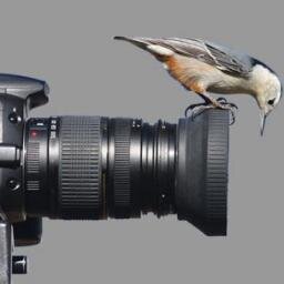 Annapolis Moves with Real Patience,Inc. Our small company provides professional photography and high quality real estate video.