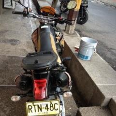 Stunt Riders  ♥ 
Paskin  ♥