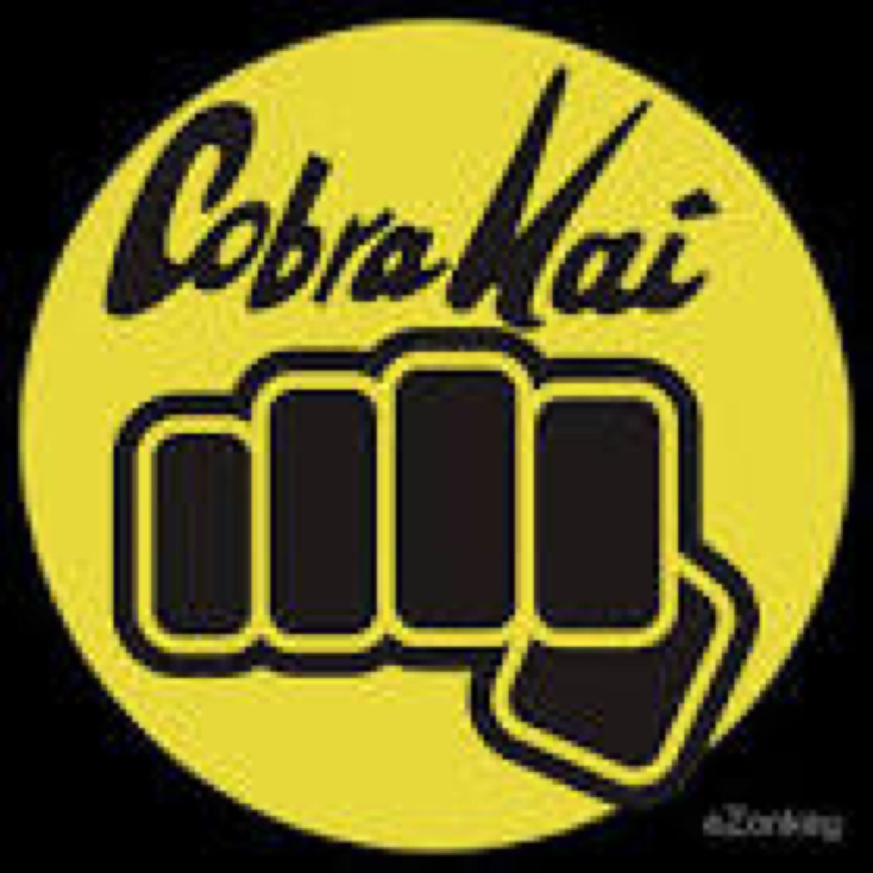 F3_CobraKai's profile picture. 