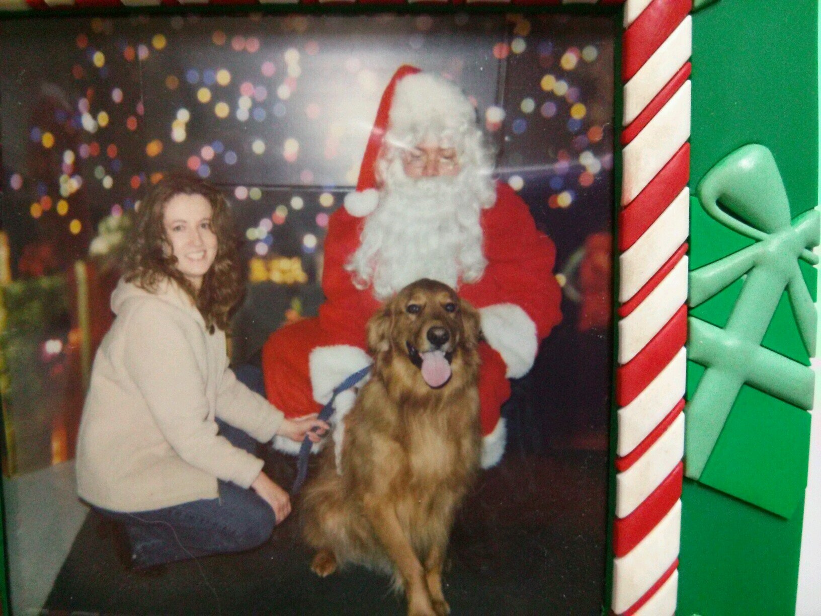 zobindis's profile picture. healthy, wholesome treats for your dog. handmade in Portland, OR.