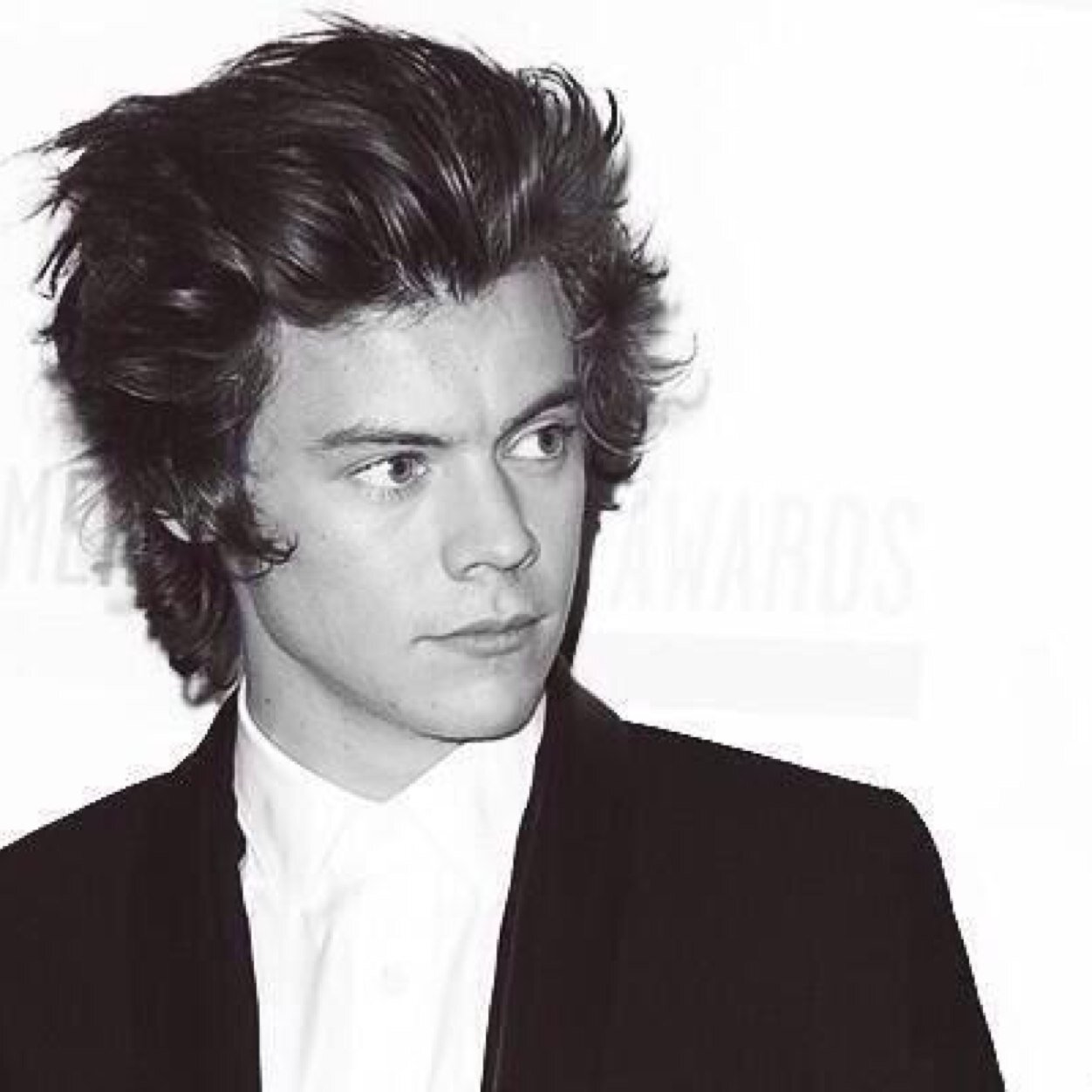 Just want a harry follow.✌