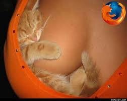 vhmedinacat's profile picture. 