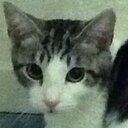 Grace Corrigan - @bananaslug27 - Twitter