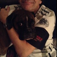 David Perry (@dperry17) 's Twitter Profile