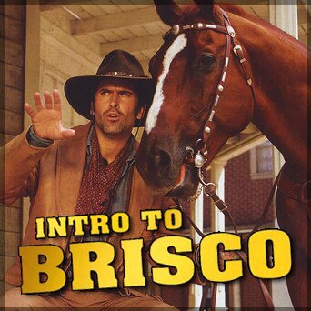 An introcast style podcast devoted to revisiting Brisco County Jr.