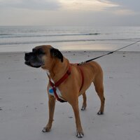 Eddie Borders (@eddieborders) 's Twitter Profile