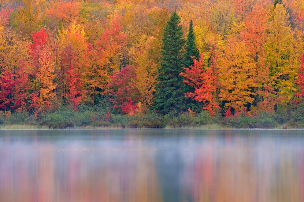 Outdoorsman, forager, hunter/gatherer in the modern world.  The woods are my cathedral. God gave Man free will.
