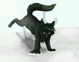 Im shadowStripe #She-Cat