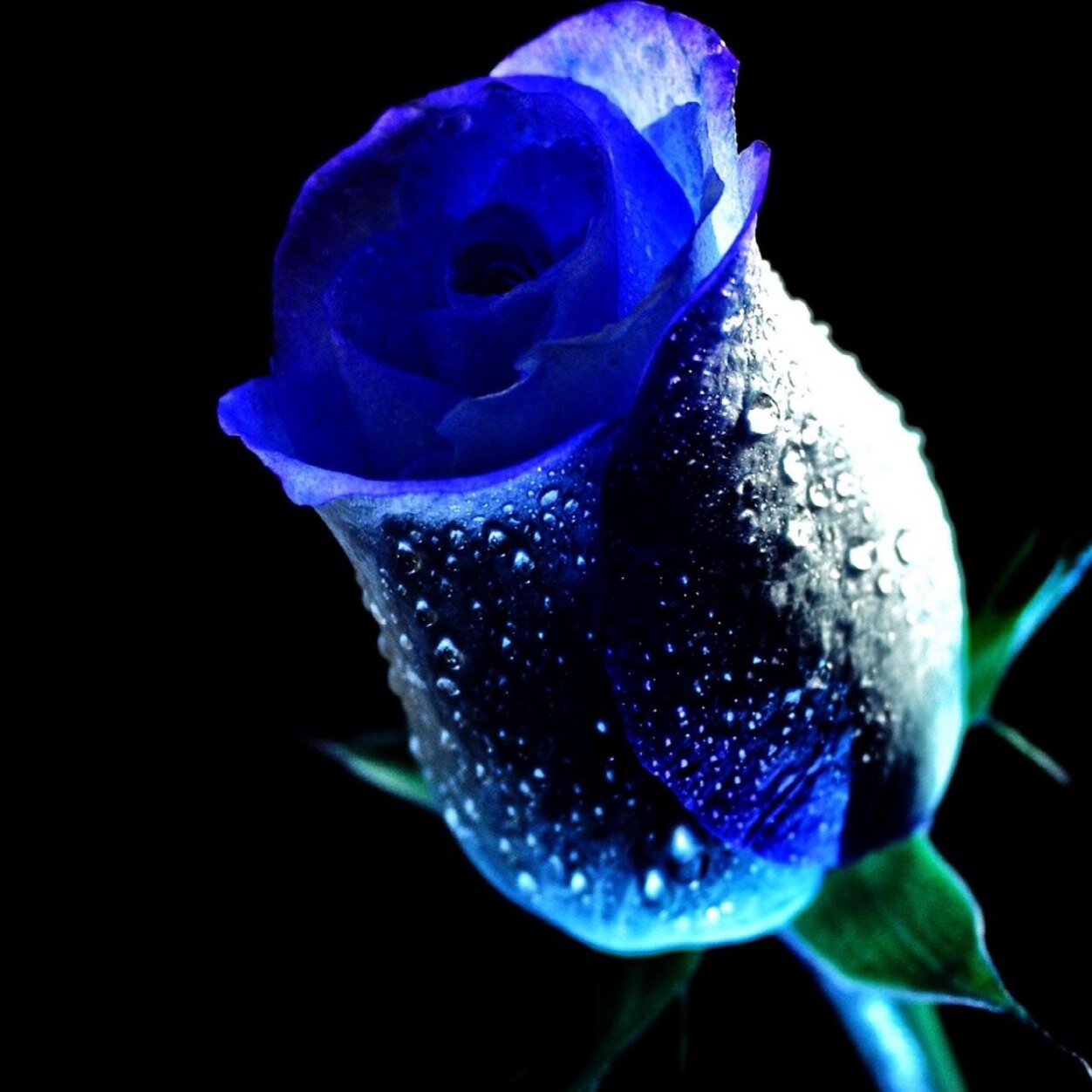 ryback380's profile picture. 