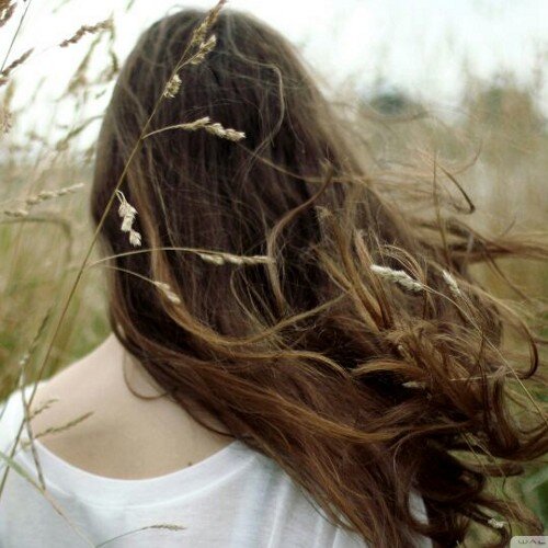 rajshree2608's profile picture. 