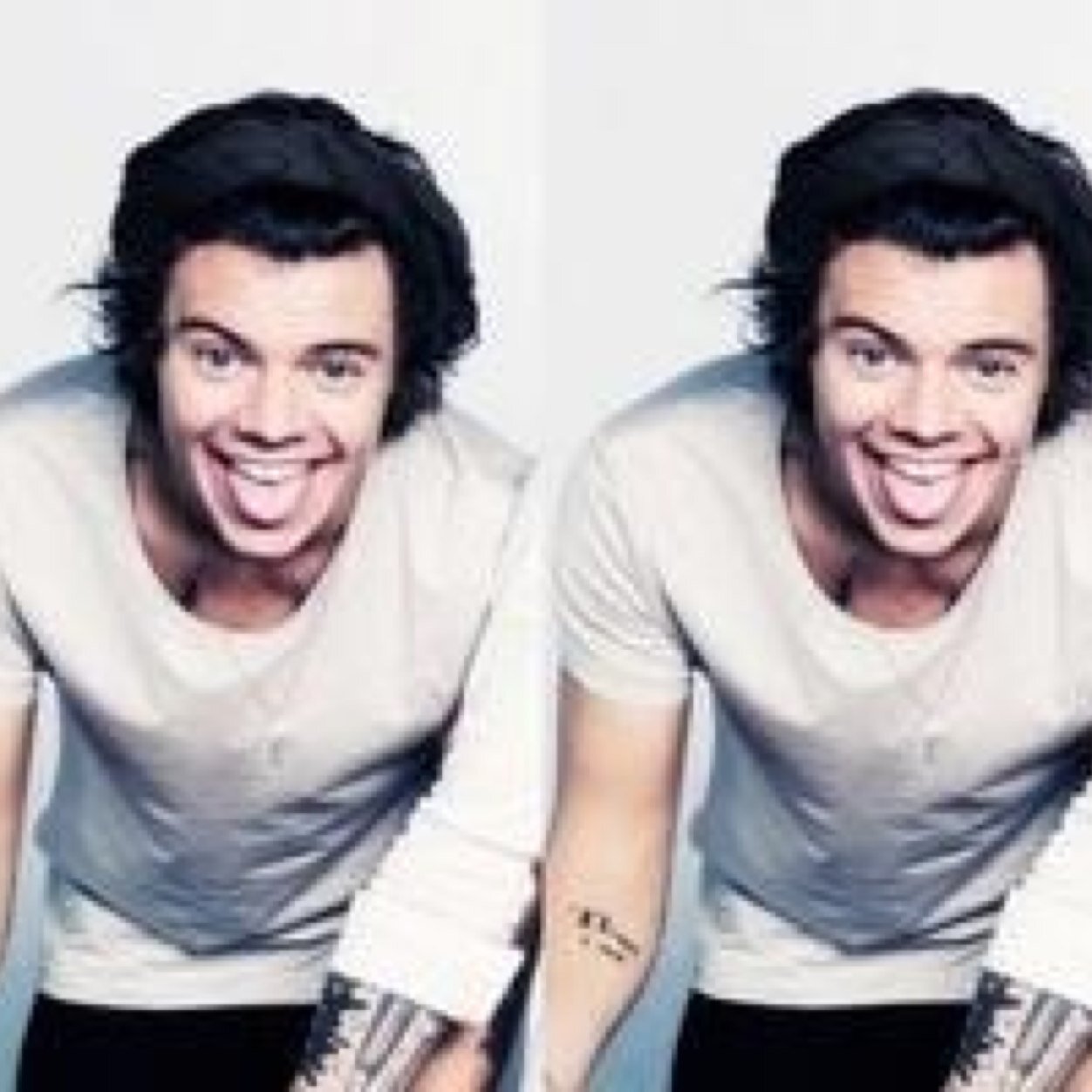 harry will never follow me but i still bother with it