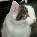 Pat crane - @pattyacrane - Twitter