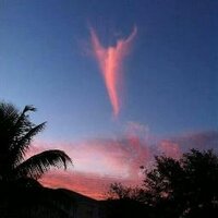 Oreliane (@oreliane2) 's Twitter Profile