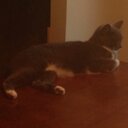 Michael Sawyers - @sawyers_michael - Twitter