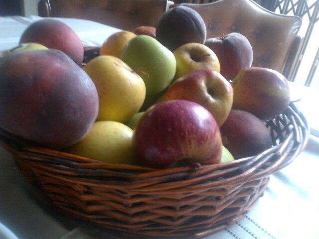 DikelediMntambo's profile picture. Born to be true! I crush People that Conspire and Gossip! Journalists that report to nail Communities for a bribe! I will not Quit!I see THRU MINDS!