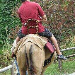 bishman88's profile picture. Amatuer of all trades, master of nothing.....or call me a Parent