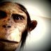 Th3WatchR (@th3watchr) Twitter profile photo