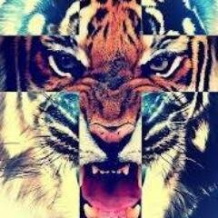 situacion sentimental:liam,zayn,niall,harry,louis                                                                        I am directioner