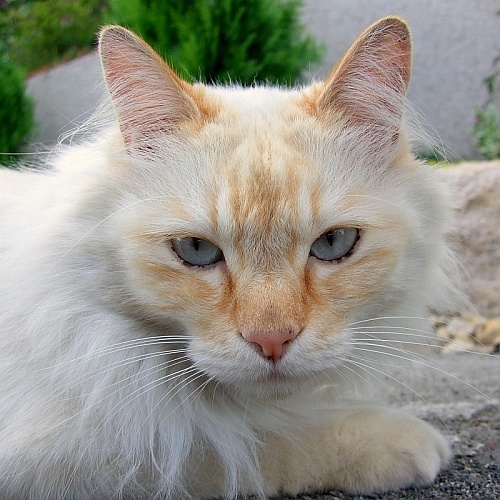 Billyさんのプロフィール画像
