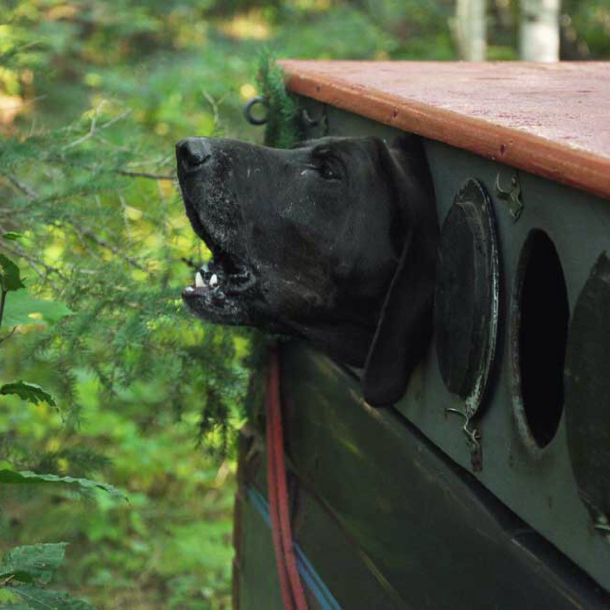 I'm an outdoors girl - I like to go fishing, riding four-wheelers, hunting.