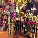 ♛ آلَبًرنِسِيَسِهّ ̥ (@11bbghn558) Twitter