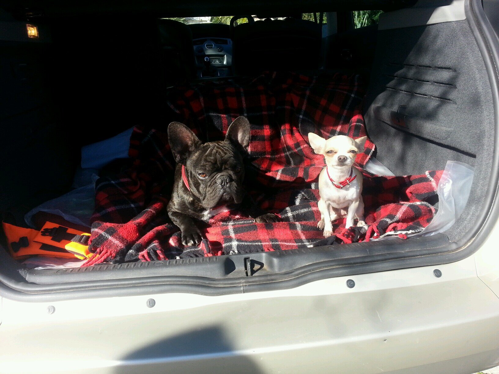 sory_alex3112's profile picture. 