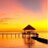 DesireMaldives's profile image