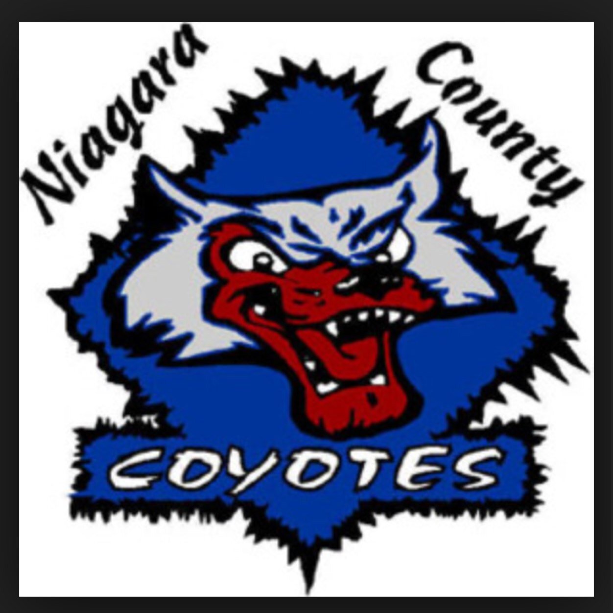 Official twitter account for the Niagara County Coyotes. WNYAHL champions 2011
http://t.co/1wC6LOzVtI
