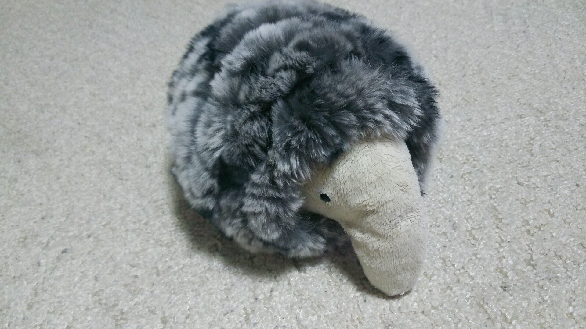 ちえぞ〜𓃰🐘さんのプロフィール画像