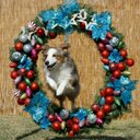 kay east - @heavenlyaussies - Twitter