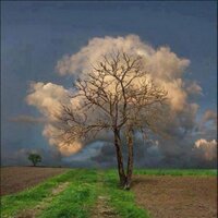 damla sonant (@piccaturra) Twitter profile photo