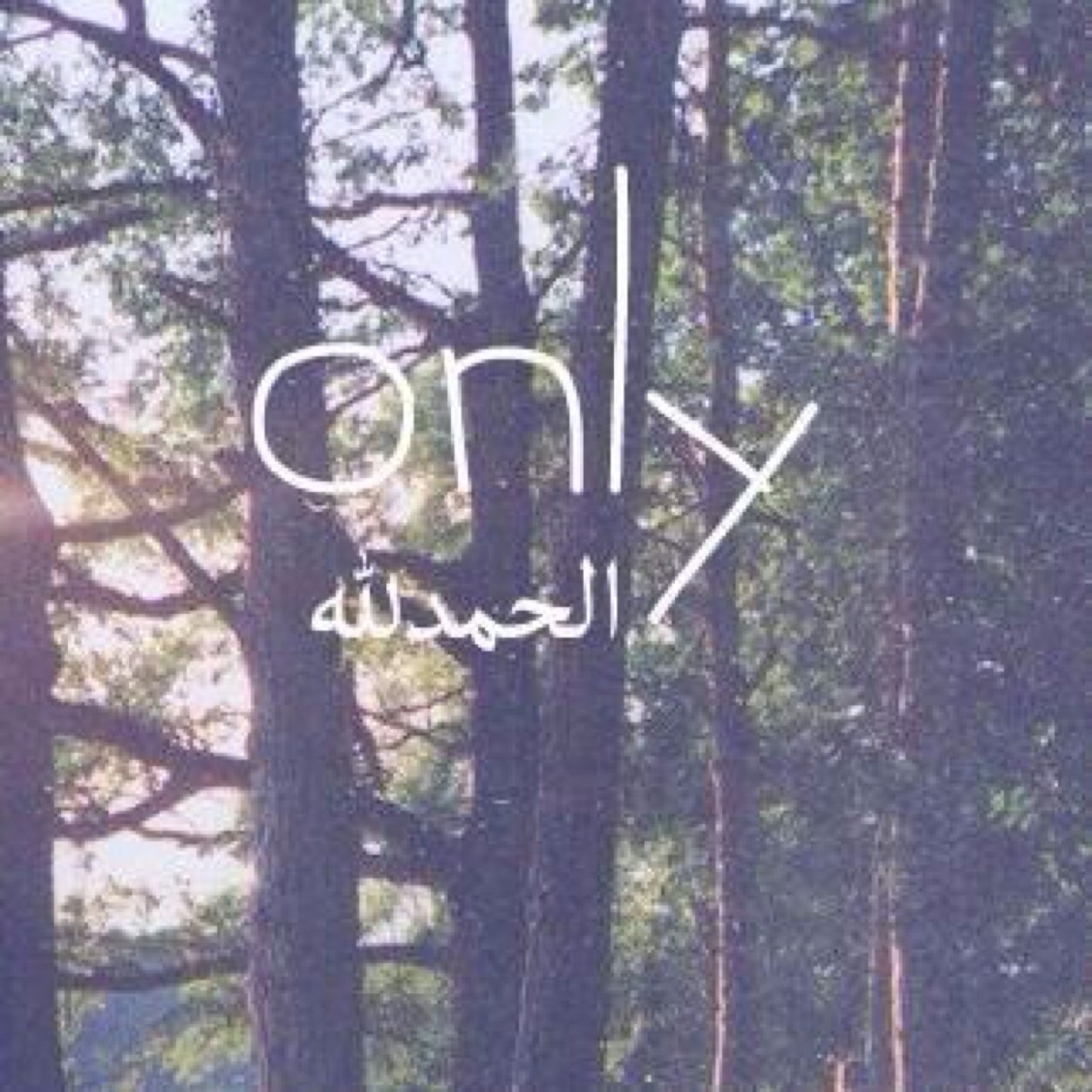 ولا شئ..
