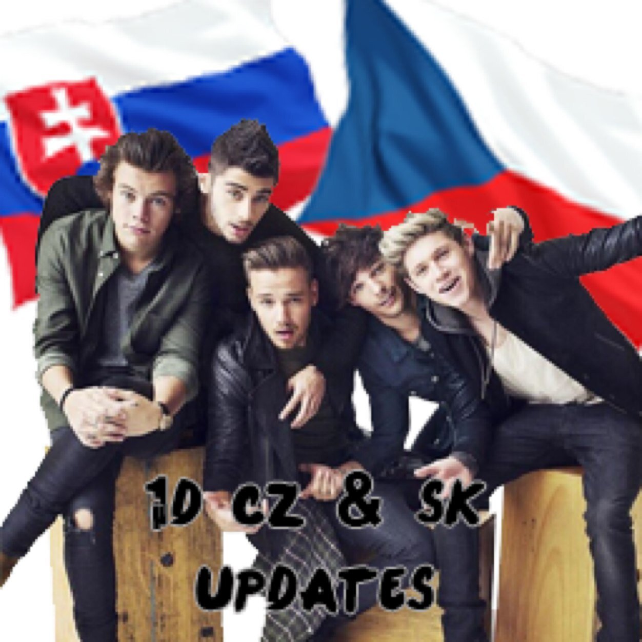 We are Czechs and Slovaks.Maybe we´re from small country,but we LOVE and ADORE the BEST group in the world.This group is called One Direction.Follow us♥