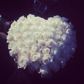 @afraalmalki