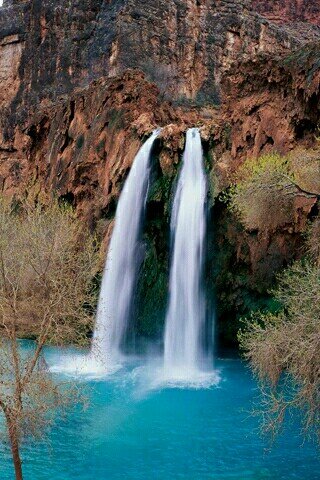 Mansour...................منصور