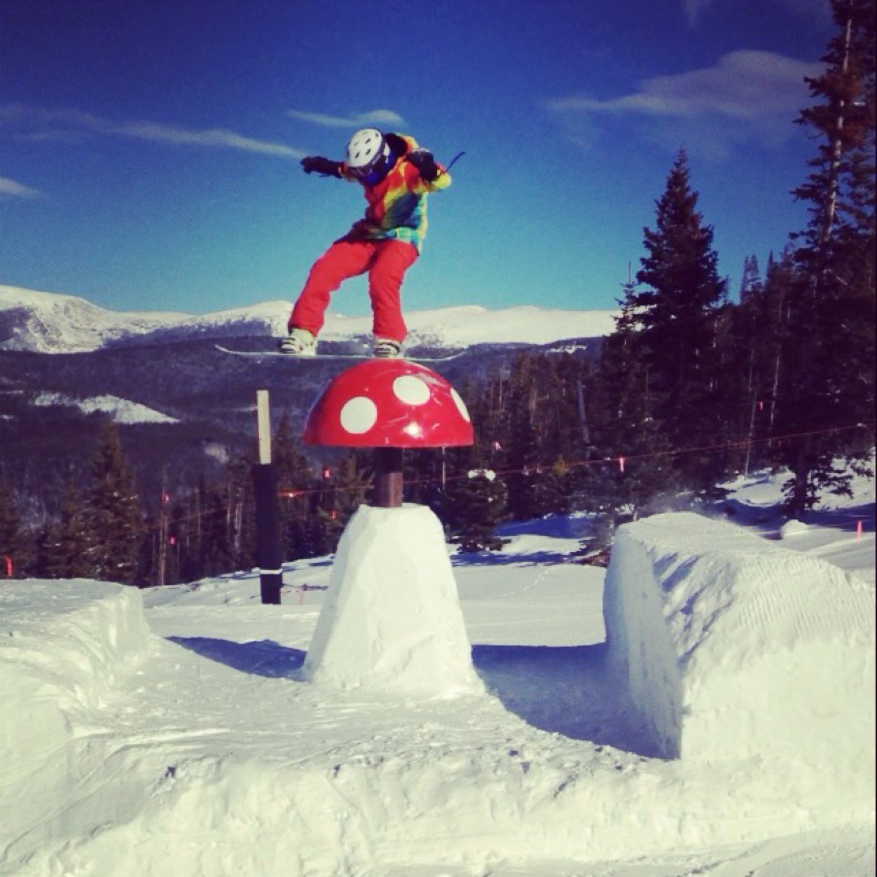 kzychowski's profile picture. Student, worker, athlete; frolf or die