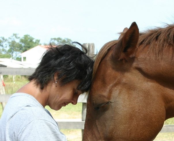 denise_bicca's profile picture. Só cavalos