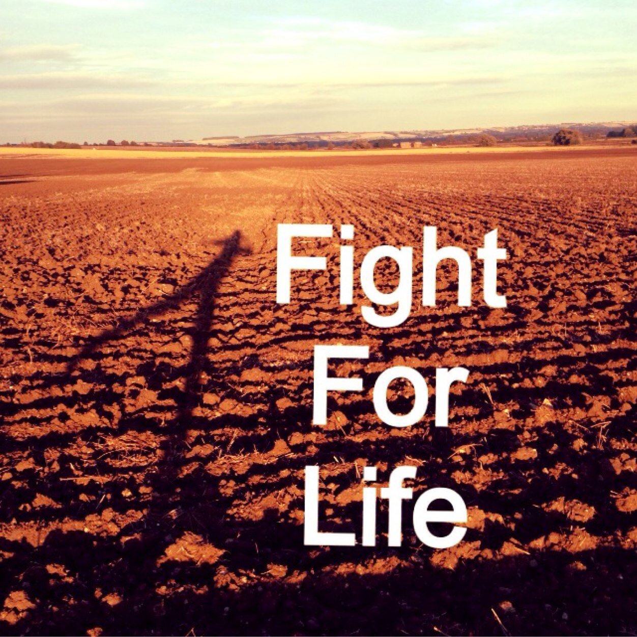 FightForLifeFFL's profile picture. Hi I'm Anna, raising awareness for mental illness, here to listen, understand, help x DM me, you are never alone x (Follow my account with Ella @TakeFlightTF )