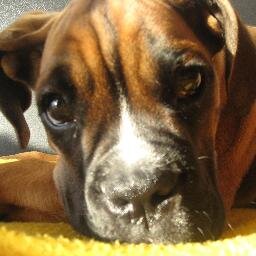 SalarisG's profile picture. Communications Consultant; Guitar Player; Dad; Cook; Virtual Airline Pilot; personal opinions