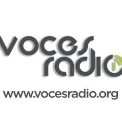 Vocesorg's profile picture. 