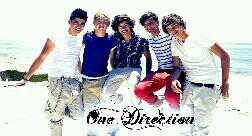 I LovE oNE DiReCtioN !!!! :')