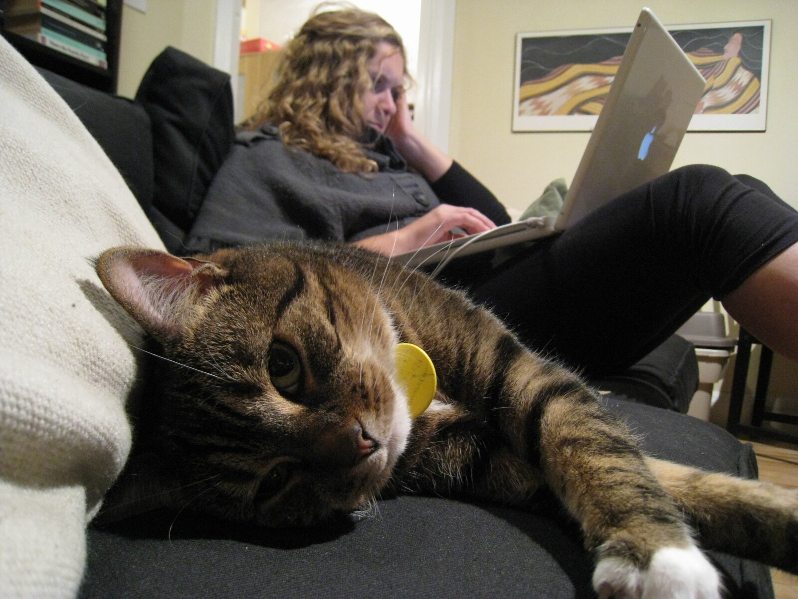 Publishing professional, sometime teacher, errant writer. I'm more obsessed with typos than is healthy.