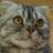 shige_san1212's profile image