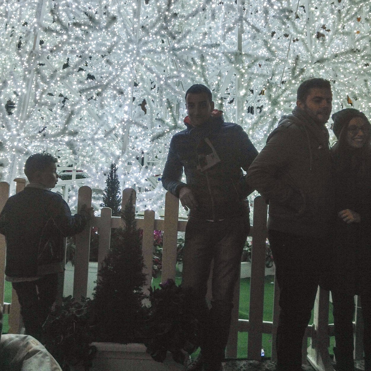 antonionisi81's profile picture. 